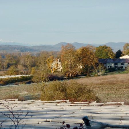 Les deux Flamands et Filous Cazals-des-Bayles Extérieur photo