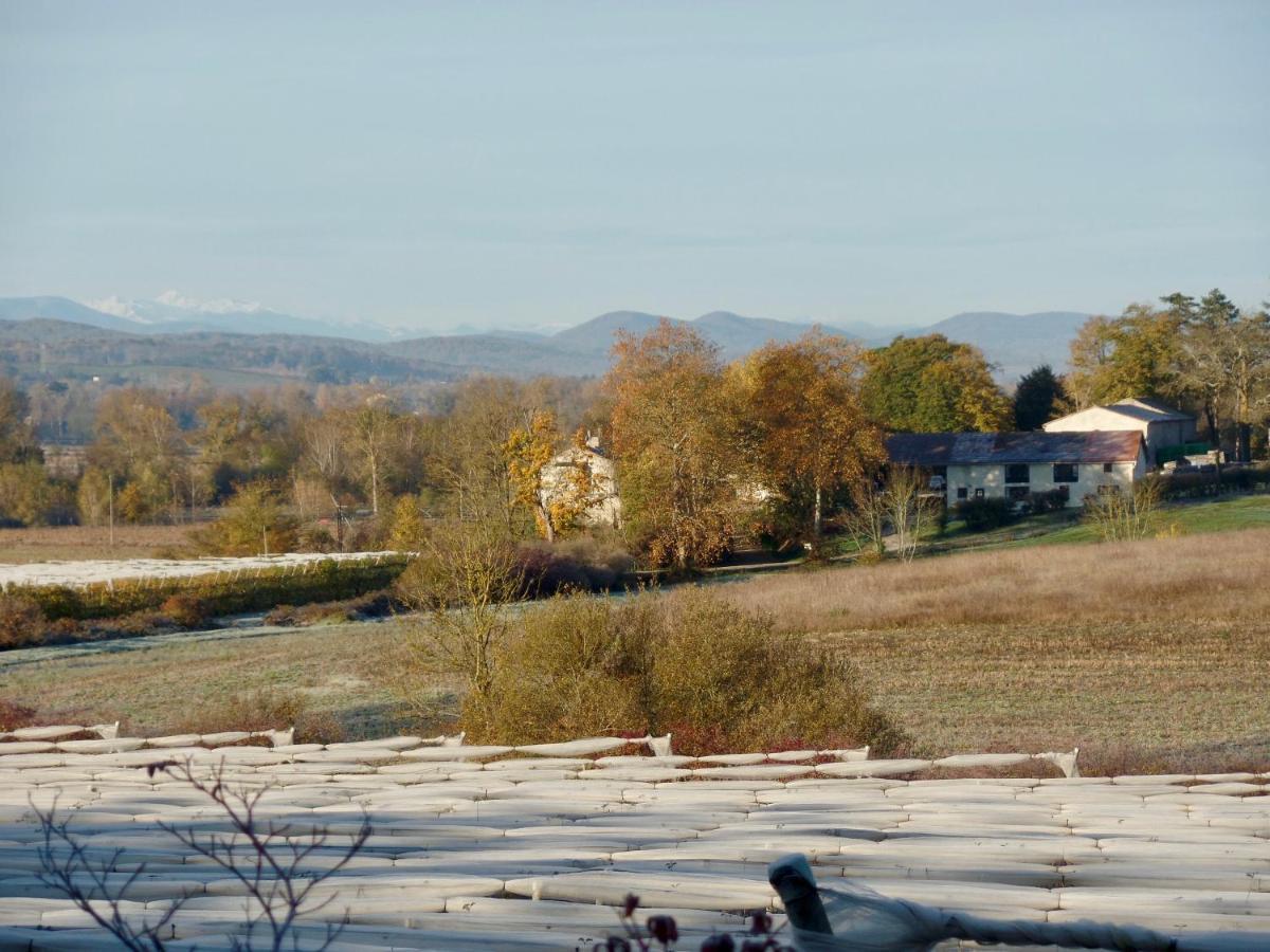 Les deux Flamands et Filous Cazals-des-Bayles Extérieur photo